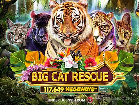 Big Cat Rescue Megaways